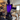 Equine LTS 3.0 - VERHUUR