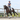Equilibrium Stretch & Flex Flatwork Wraps - Equinics
