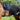 Back on Track Uitrijdeken Fleece Supreme - Equinics