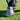 Equilibrium Neusbeschermer - Equinics