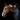 Stellar Halstertouw - Equinics