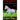 Movement from the Anatomical Perspective - Part 1 Horses Inside out DVD - Equinics