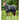 Premier Equine Magneetdeken - Equinics