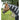 Premier Equine Magneetdeken - Equinics