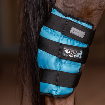 Waldhausen Health + Care Kølegamache Has