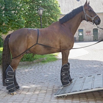 Waldhausen Trailerhjælp - Equinics