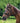 Waldhausen Ridekapsun - Equinics