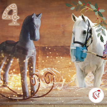 COMING SOON 4e Advent Flexineb