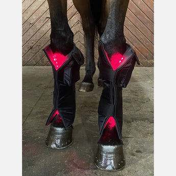 Equine LTS Pad Red Edition Duo-pack