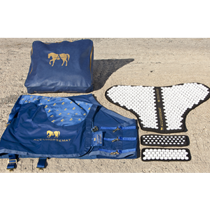 Accuhorsemat - Equinics