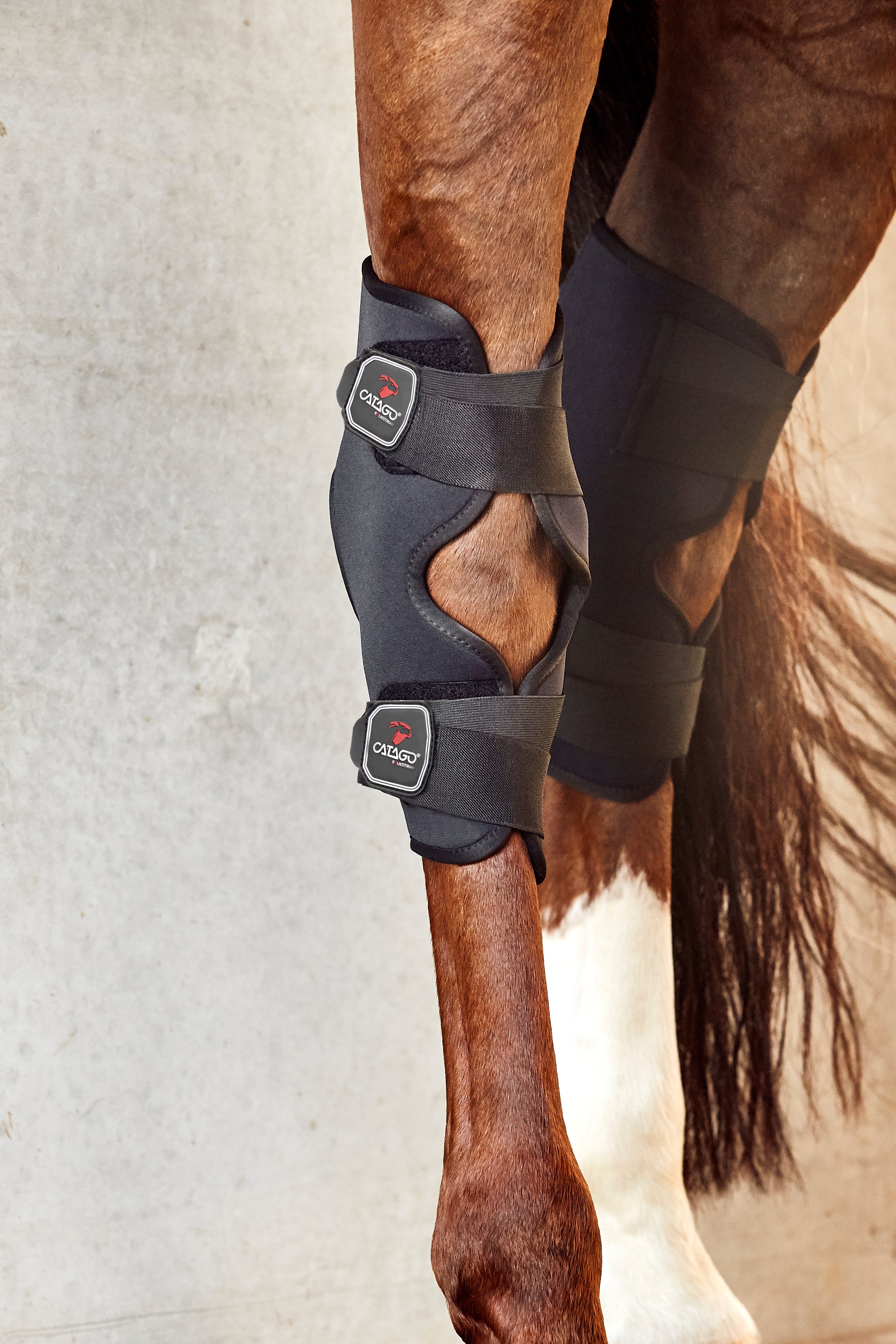 CATAGO FIR-Tech Spronggewrichtbeschermers - Equinics