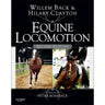 Equine Locomotion - Equinics