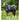 Premier Equine Magneetdeken - Equinics